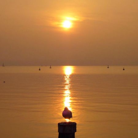 The Riva Apartment Sirmione Zewnętrze zdjęcie