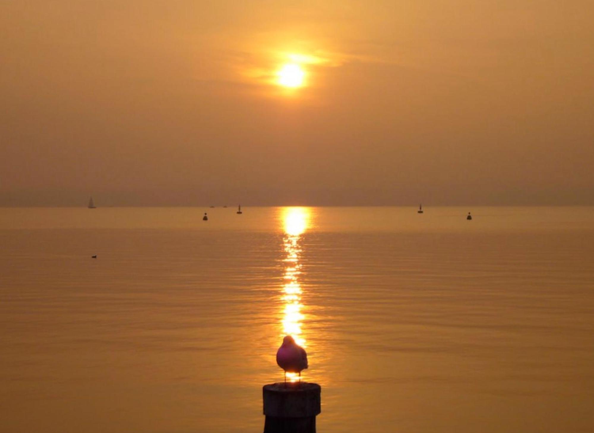 The Riva Apartment Sirmione Zewnętrze zdjęcie